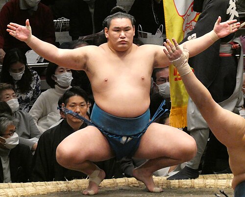 豊昇龍