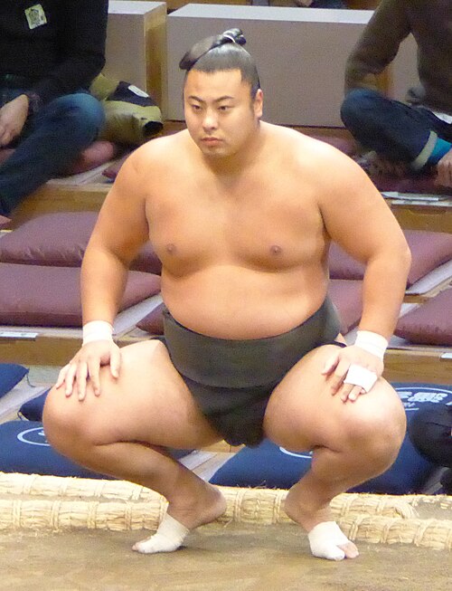 翔猿