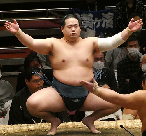 錦富士