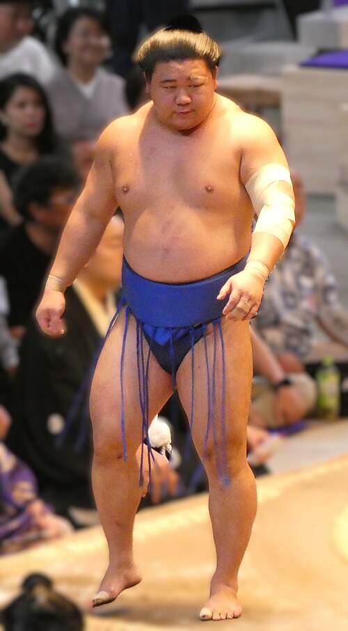 藤ノ川