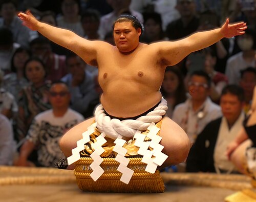 大の里
