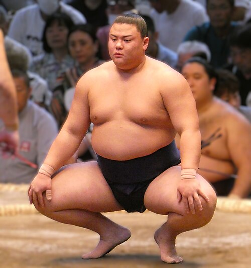 義ノ富士